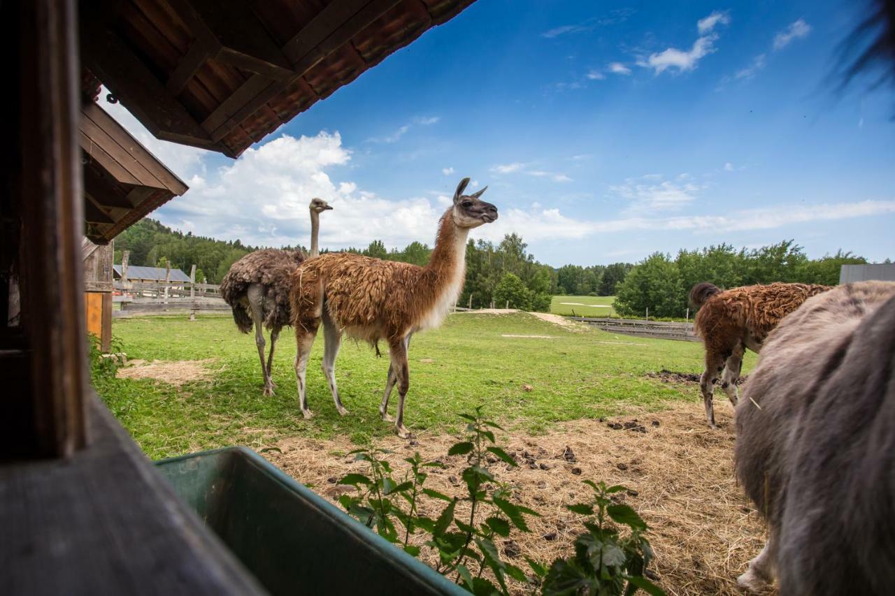 Resort Malevil Jablonné v Podještědí Екстериор снимка